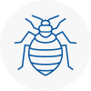 Bed Bug Extermination In Bolton On Dearne